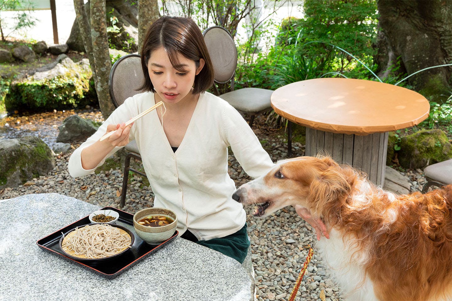 那須 犬okの釣り堀 ランチタイムだって楽しさいっぱい Wanqol編集部レポ おでかけ わんクォール