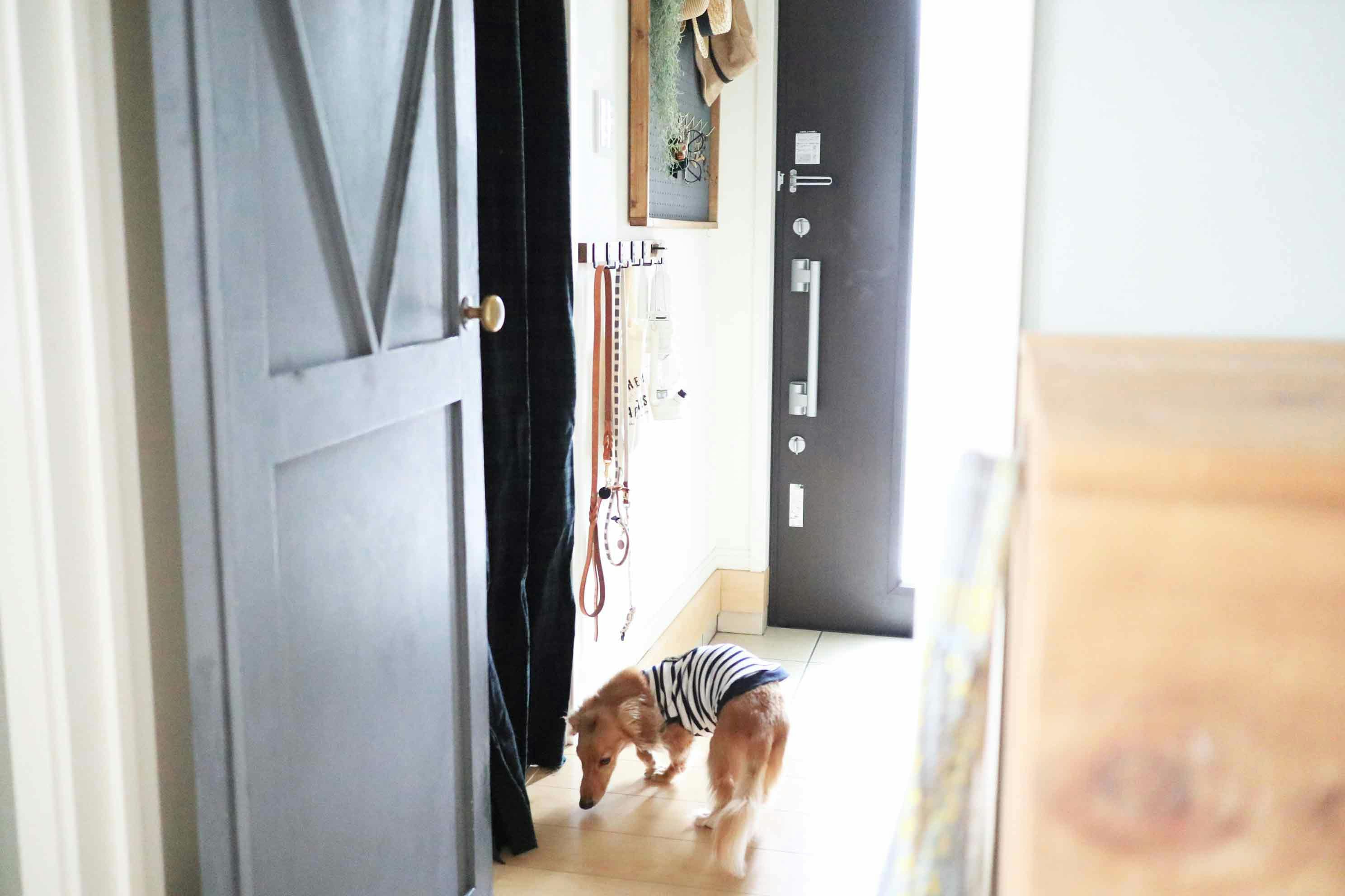 【簡単3ステップDIY】愛犬のお散歩グッズ用の壁掛けフックを手作り！《わんこと暮らすアイディア》