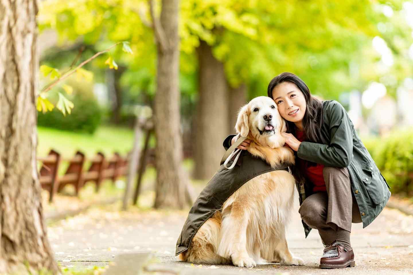 愛犬とのほっこり話 女優 高橋ひとみさんと愛犬の絆 Wansceneスペシャル わんクォール