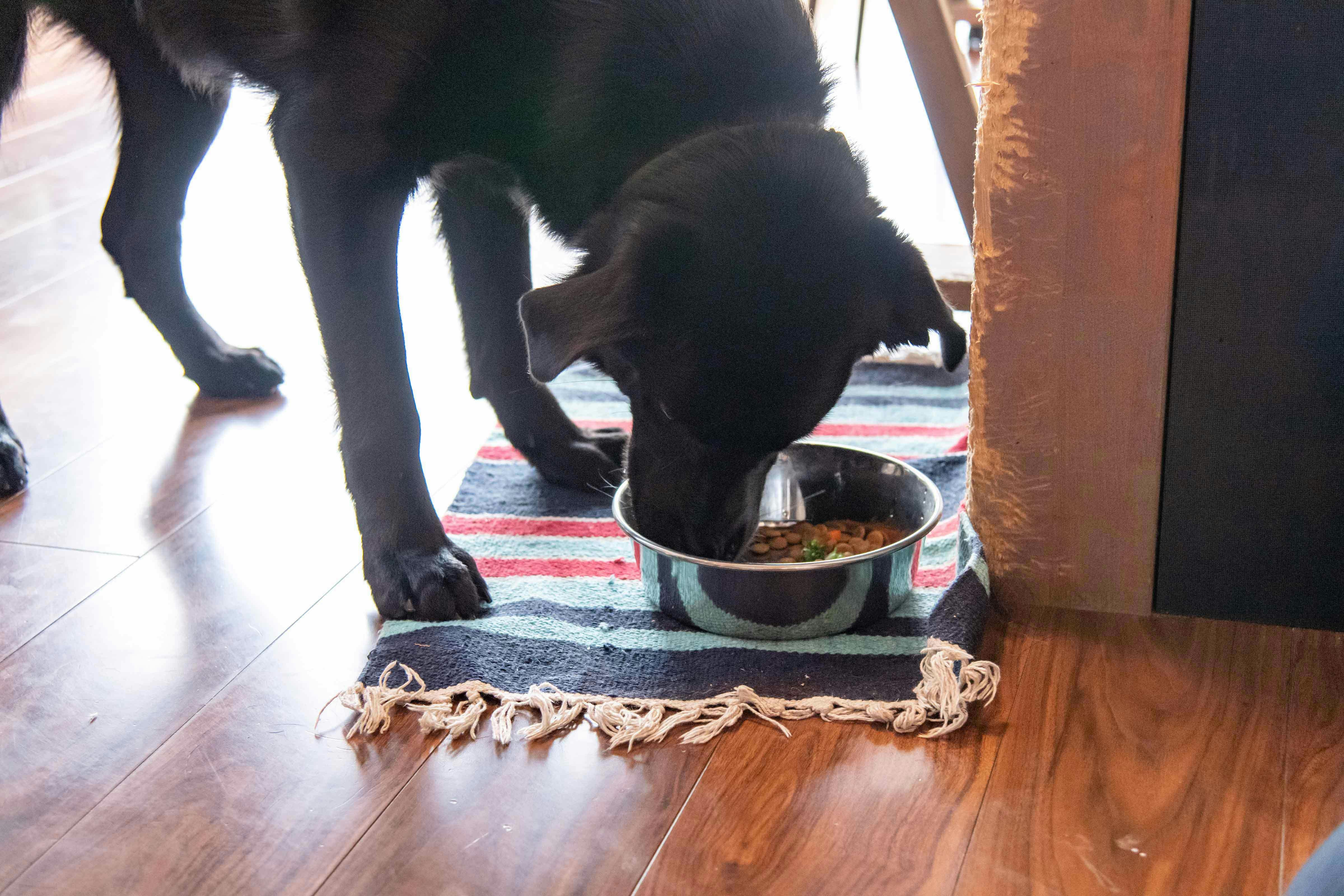 大型犬向け 簡単なのにオシャレな フードスタンド の作り方 愛犬とdiy Diy 手作り犬アイテム わんクォール