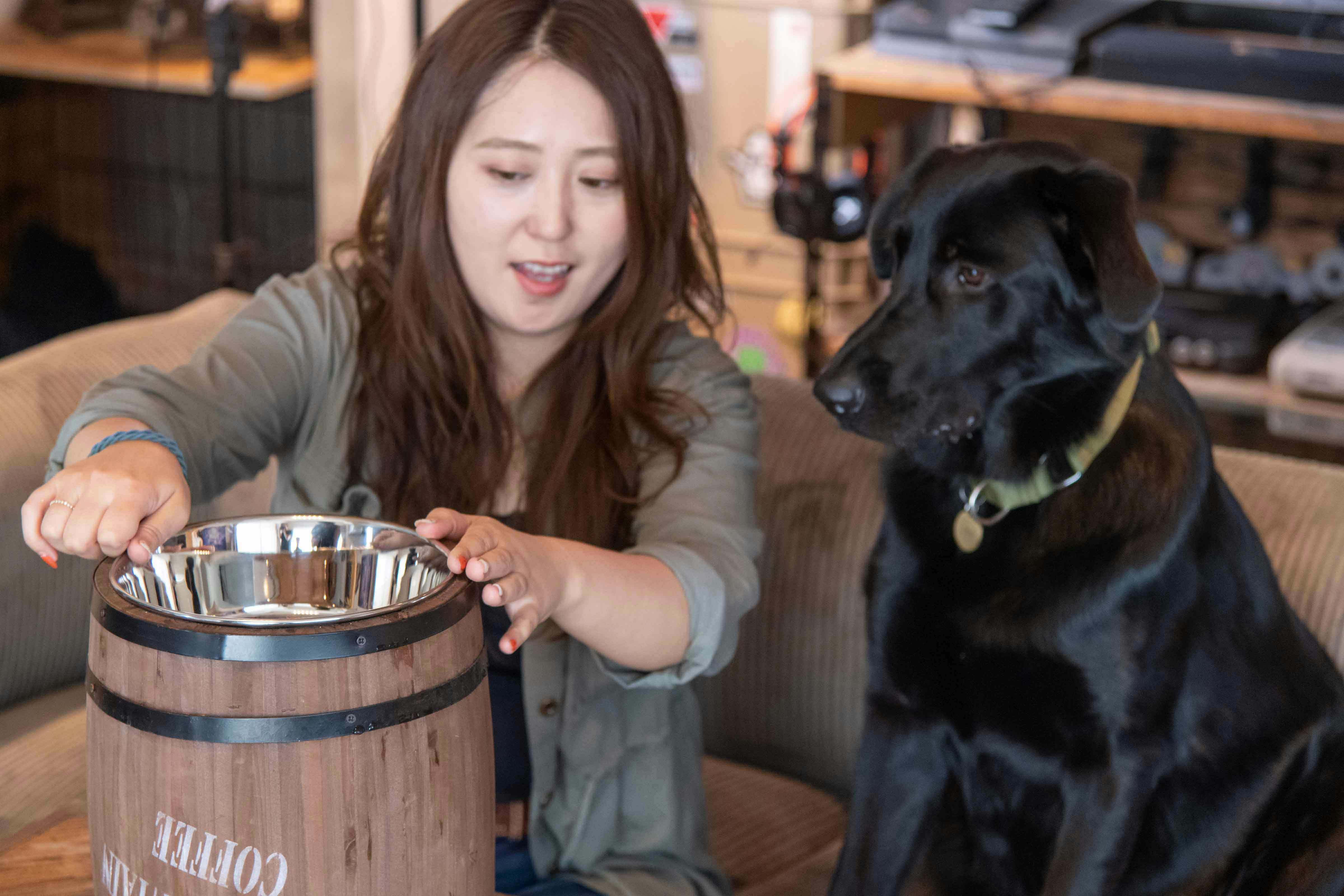 大型犬向け 簡単なのにオシャレな フードスタンド の作り方 愛犬とdiy Diy 手作り犬アイテム わんクォール