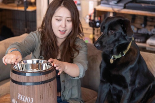 大型犬用DIY　フードスタンド　酒樽