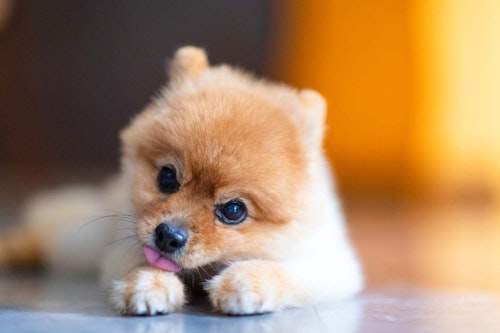 2nogvrdtlm5f7m 2nogvrdtlm5f7m