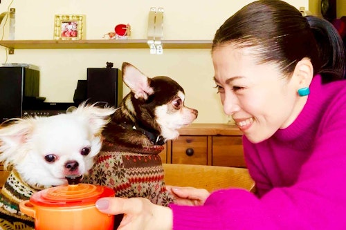 免疫力upメニュー 栄養素たっぷりのきのこスープで冬支度 愛犬手作りごはんレシピ わんクォール 免疫力upメニュー 栄養素たっぷりのきのこスープで冬支度 愛犬手作りごはんレシピ わんクォール