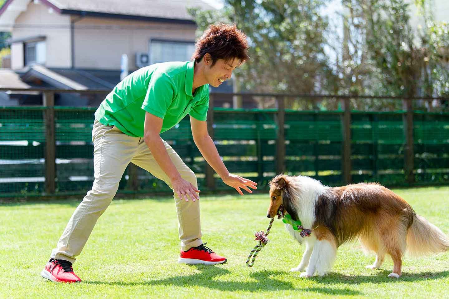 飼い主さんがおもちゃを離す