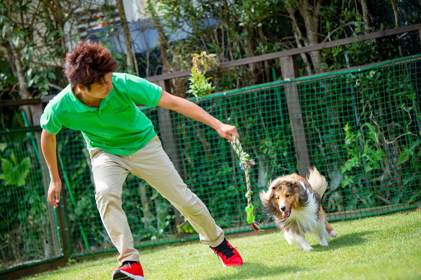 おもちゃを捉えようとする犬