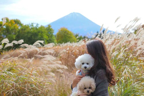 河口湖 西湖 秋の犬連れ観光プラン 店内okのランチも わんクォール 河口湖 西湖 秋の犬連れ観光プラン 店内okのランチも わんクォール