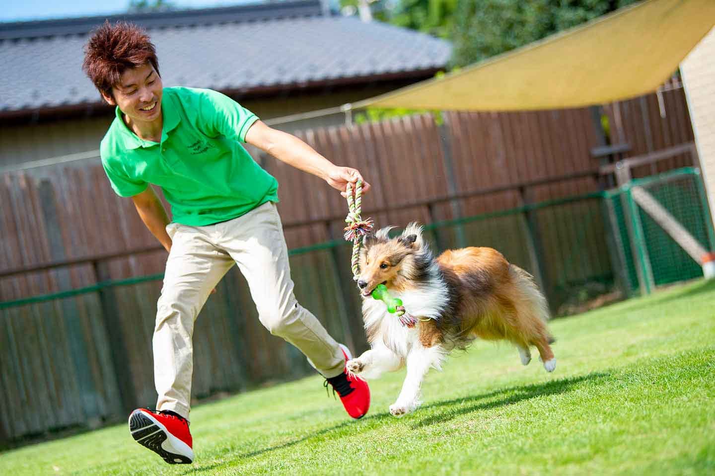 おもちゃを咥える犬