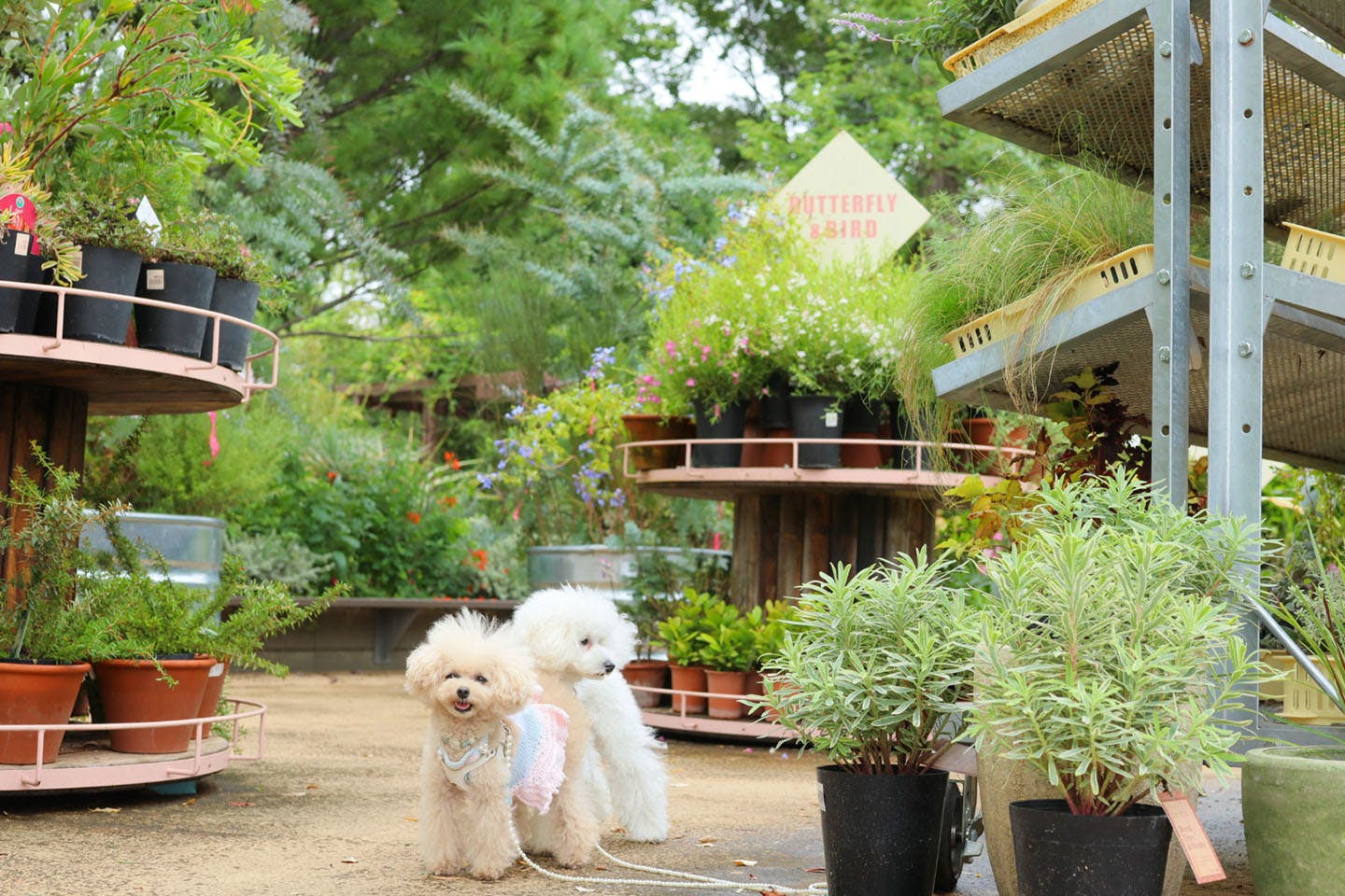 植物がたくさんの場所