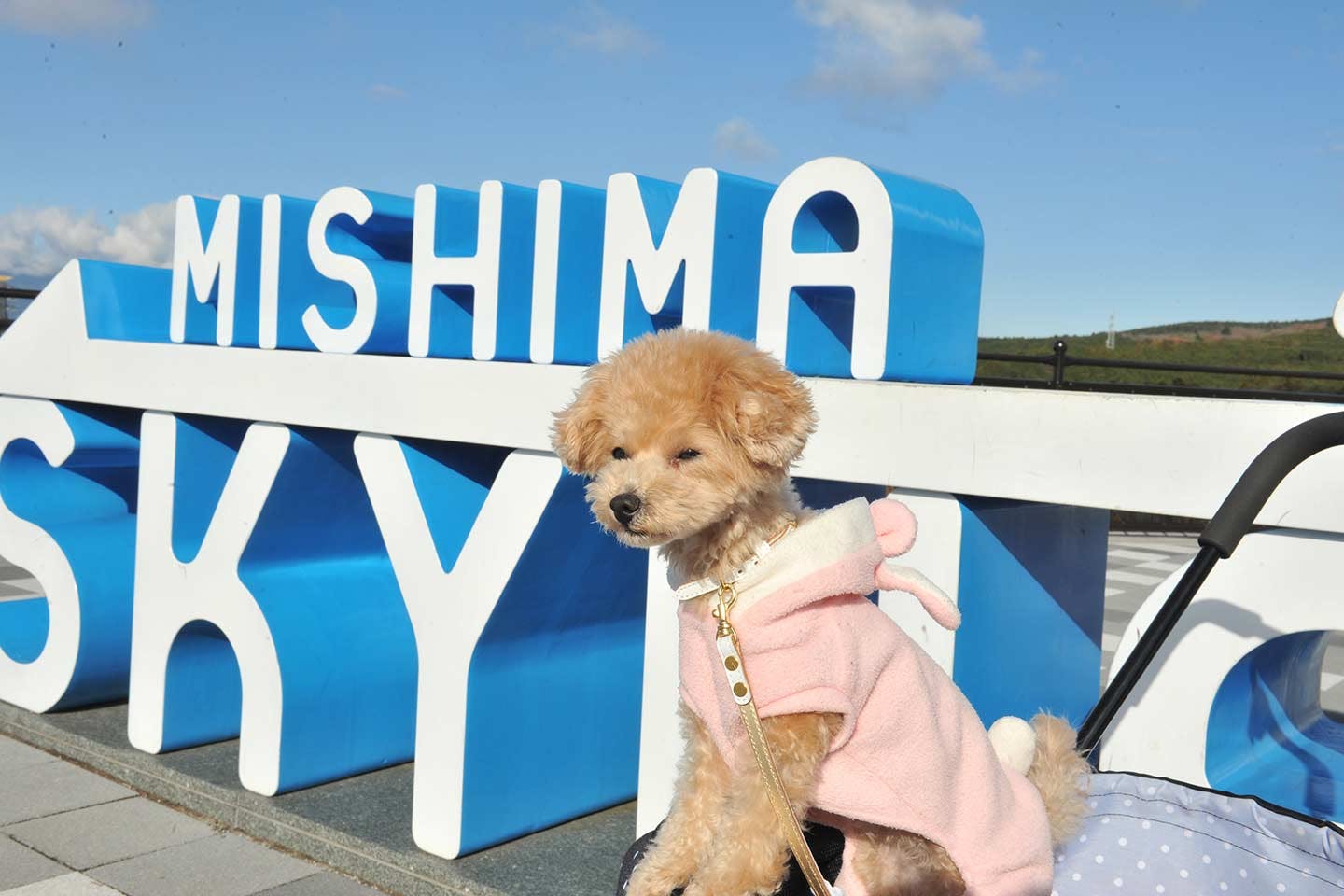 お宿で使える特典 12月末まで 箱根で広大なパノラマを満喫 雨の日でも遊べるスポットを紹介 わんクォール