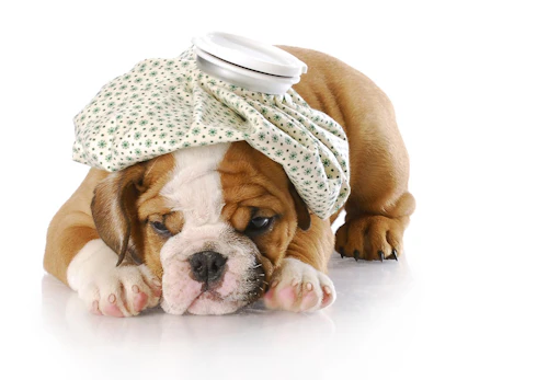 Fmxdylbrkl02em Fmxdylbrkl02em