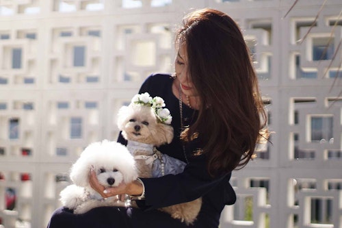 【横浜】愛犬とのんびり公園・ランチ・お花を楽しめるスポットをご紹介！