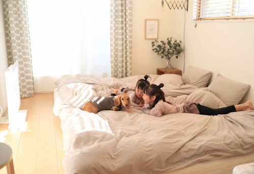 【インテリアのプロ直伝】愛犬と一緒の寝室を快適な空間に変えるための5つの小さな工夫