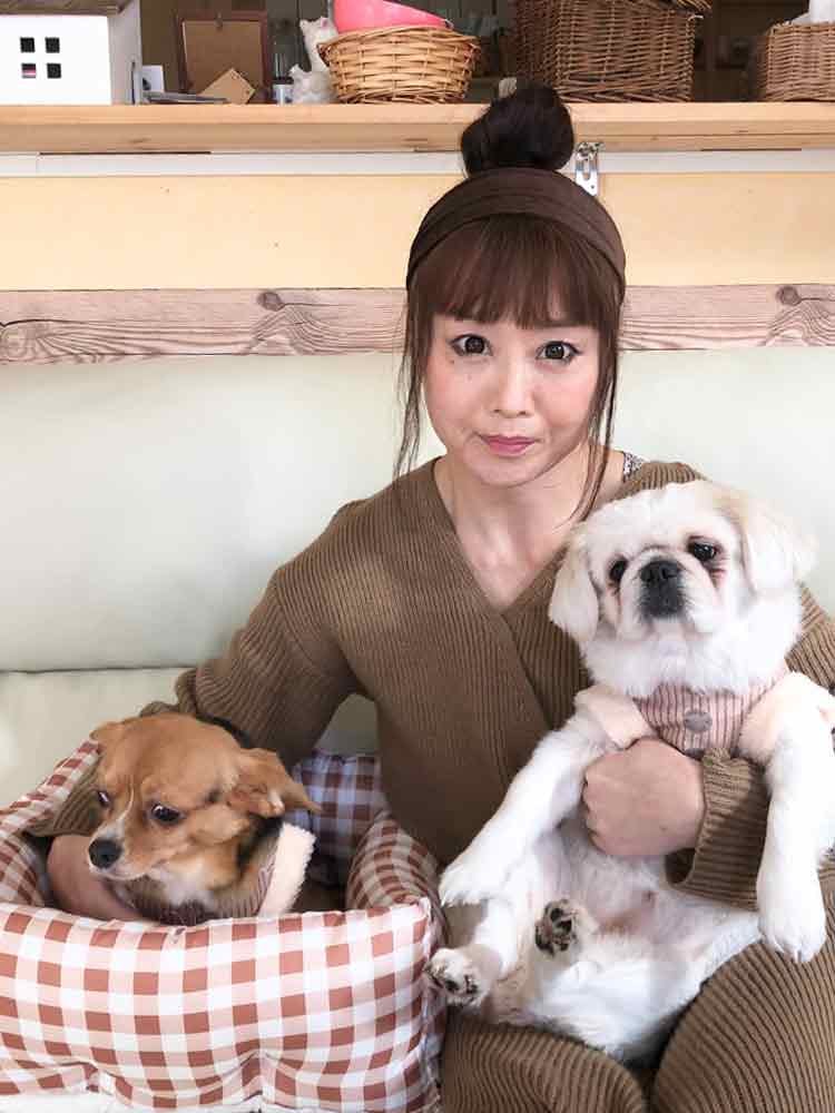 愛犬家リメイク&DIYの達人/ ミホ