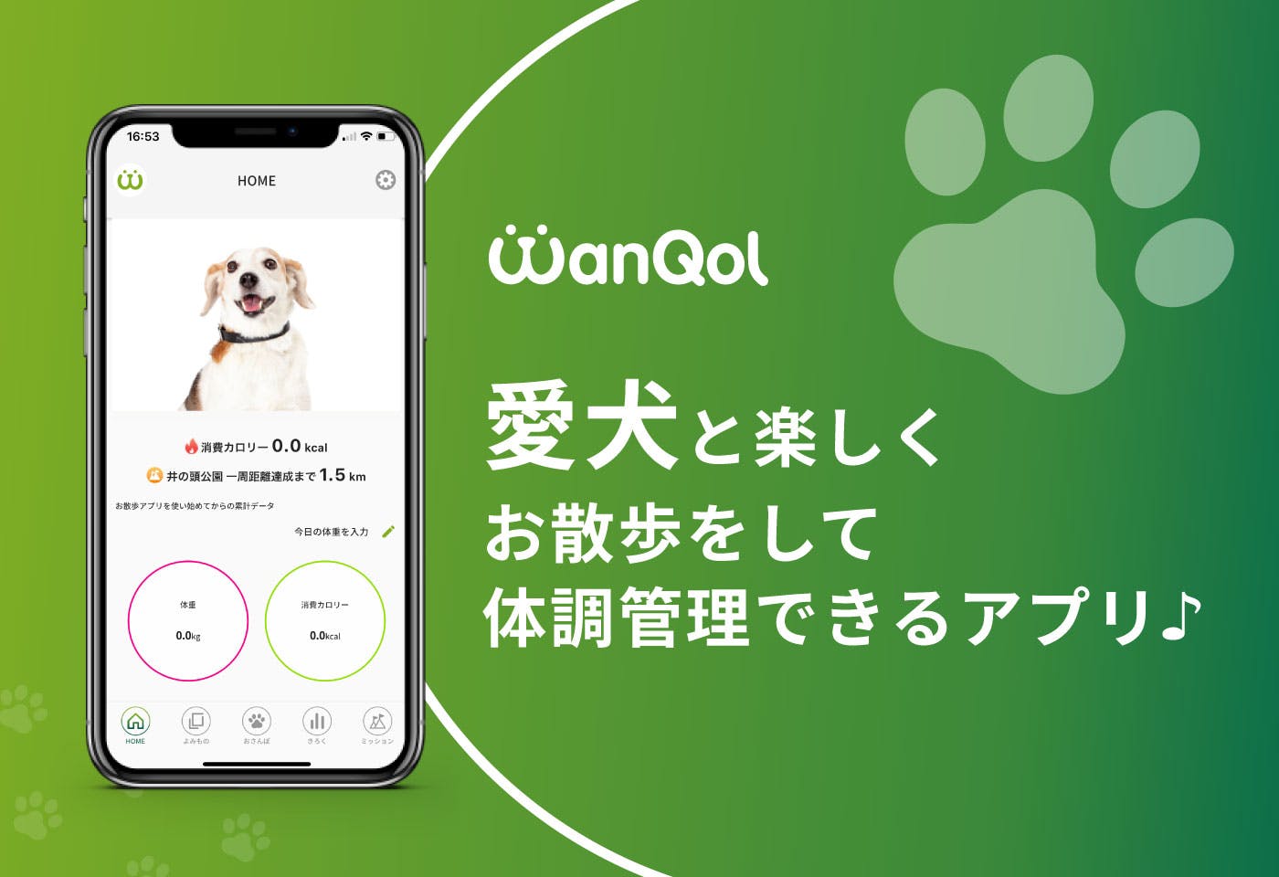 WanQolにアプリが登場！愛犬と楽しくお散歩をして体調管理しよう♪