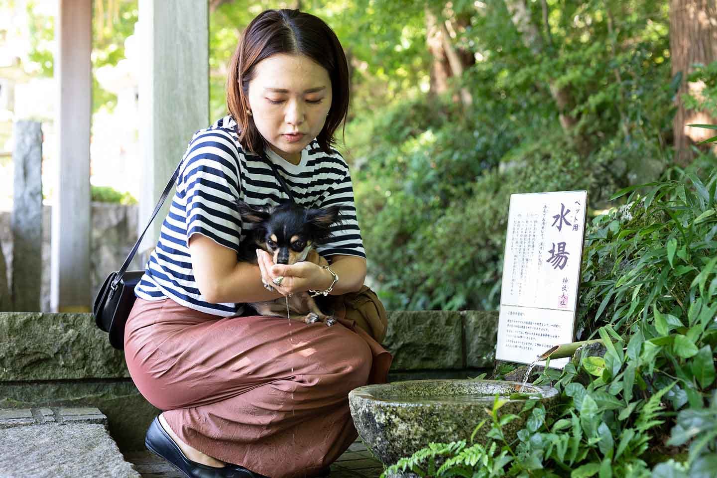 ペット用水場でお水を飲むこひめちゃん