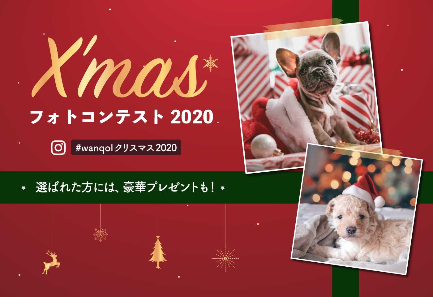 【豪華賞品付き♪】わんクォールクリスマスフォトコンテスト2020開催!