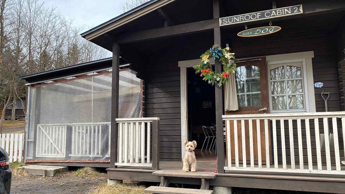 愛犬とクリスマスキャンプ　クリスマスキャビン