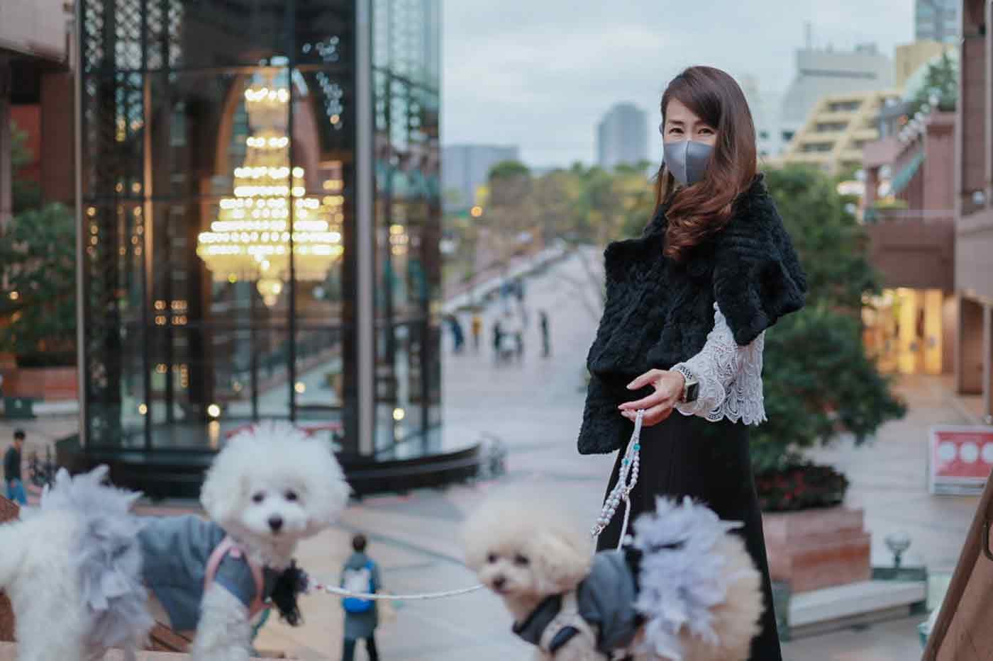 恵比寿で愛犬と散歩