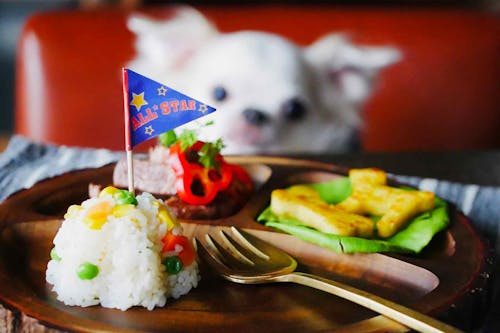 栄養バランス抜群 家にあるものでお子さまランチを犬用に簡単再現 愛犬手作りごはんレシピ わんクォール 栄養バランス抜群 家にあるものでお子さまランチを犬用に簡単再現 愛犬手作りごはんレシピ わんクォール