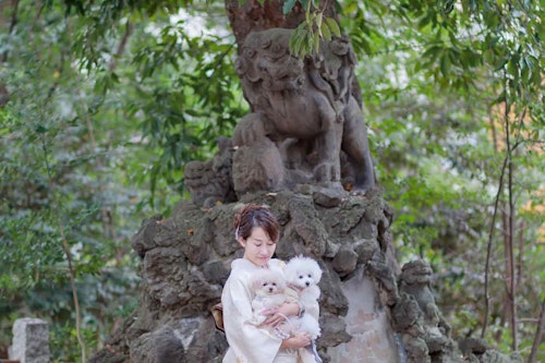 大木の前で記念撮影する犬と飼い主