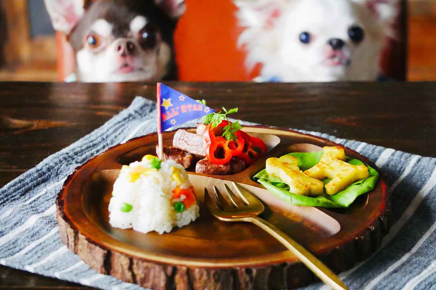 犬 わんちゃん グラス プレート 【公式通販】