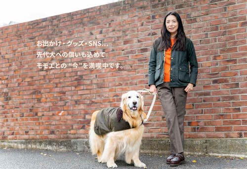 犬okスポット情報も満載 女優 高橋ひとみさん家族と愛犬のほっこり話 Wansceneスペシャル わんクォール 犬okスポット情報も満載 女優 高橋ひとみさん家族と愛犬のほっこり話 Wansceneスペシャル わんクォール