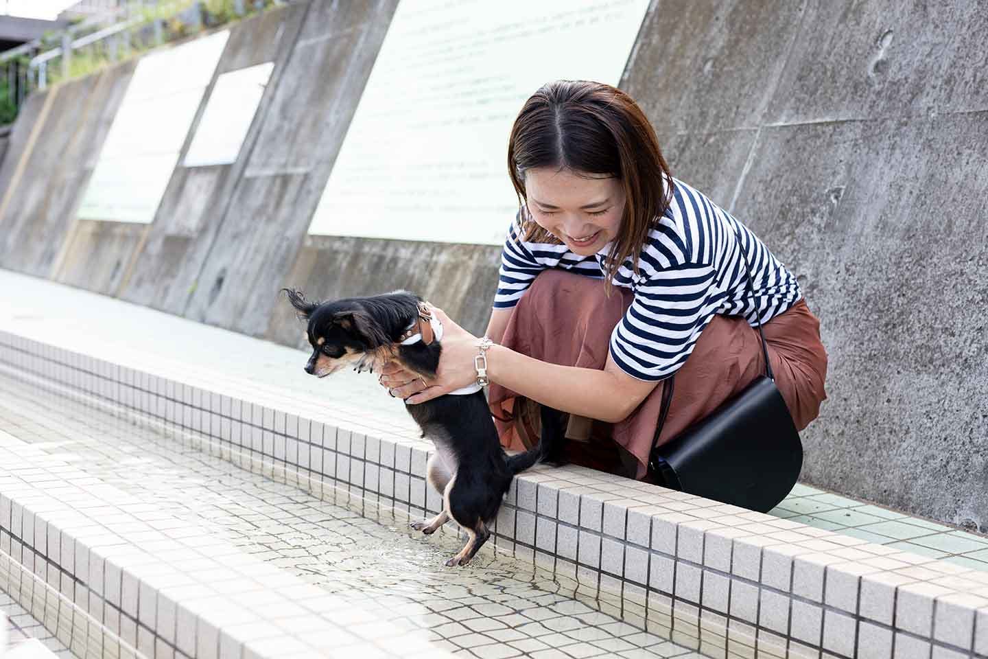 足湯に入るこむぎちゃん