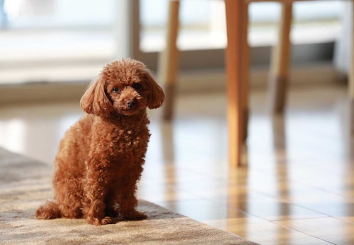 7dxfisvuabzllm 7dxfisvuabzllm