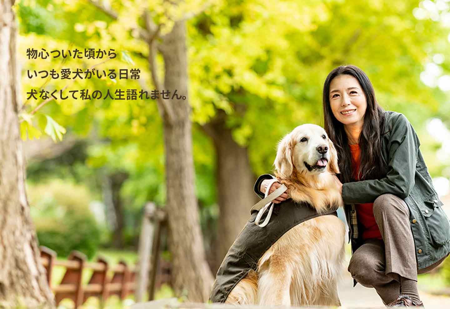 愛犬とのほっこり話 女優 高橋ひとみさんと愛犬の絆 Wansceneスペシャル 読みもの わんクォール