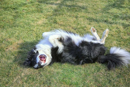 Qewkrssbmqyxxm Qewkrssbmqyxxm