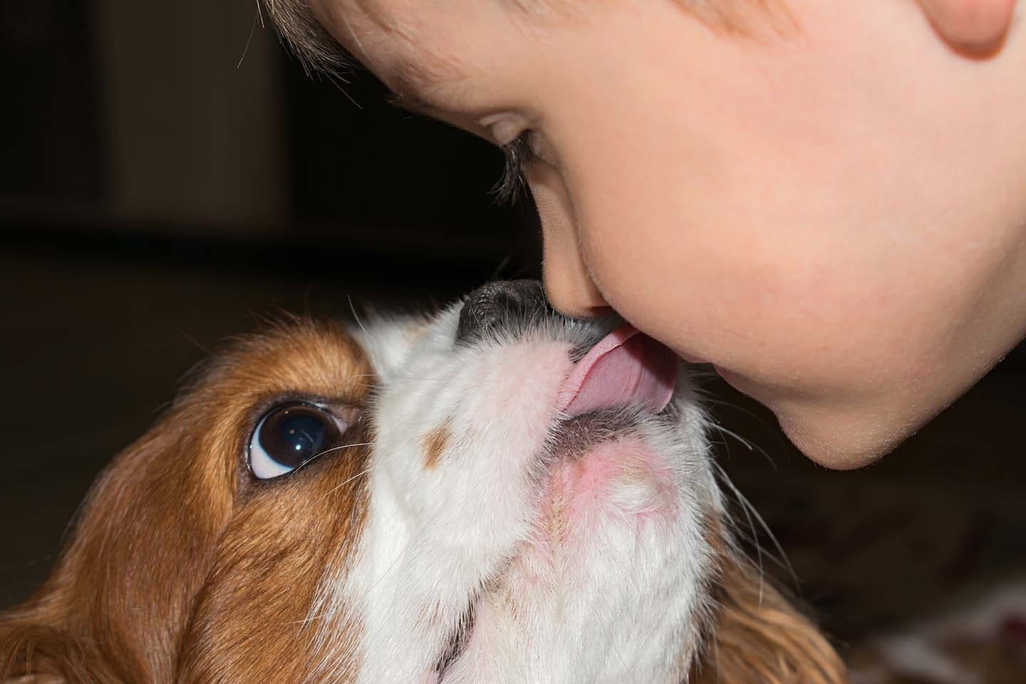 人間の子どもの口を舐める犬