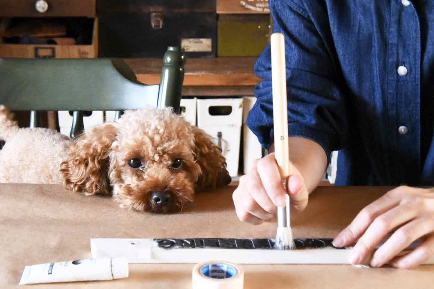 愛犬用ハンガーラック　DIY　ステンシル