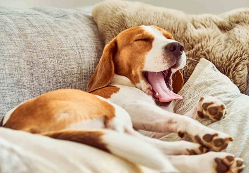 X2drxvkyjiwm X2drxvkyjiwm