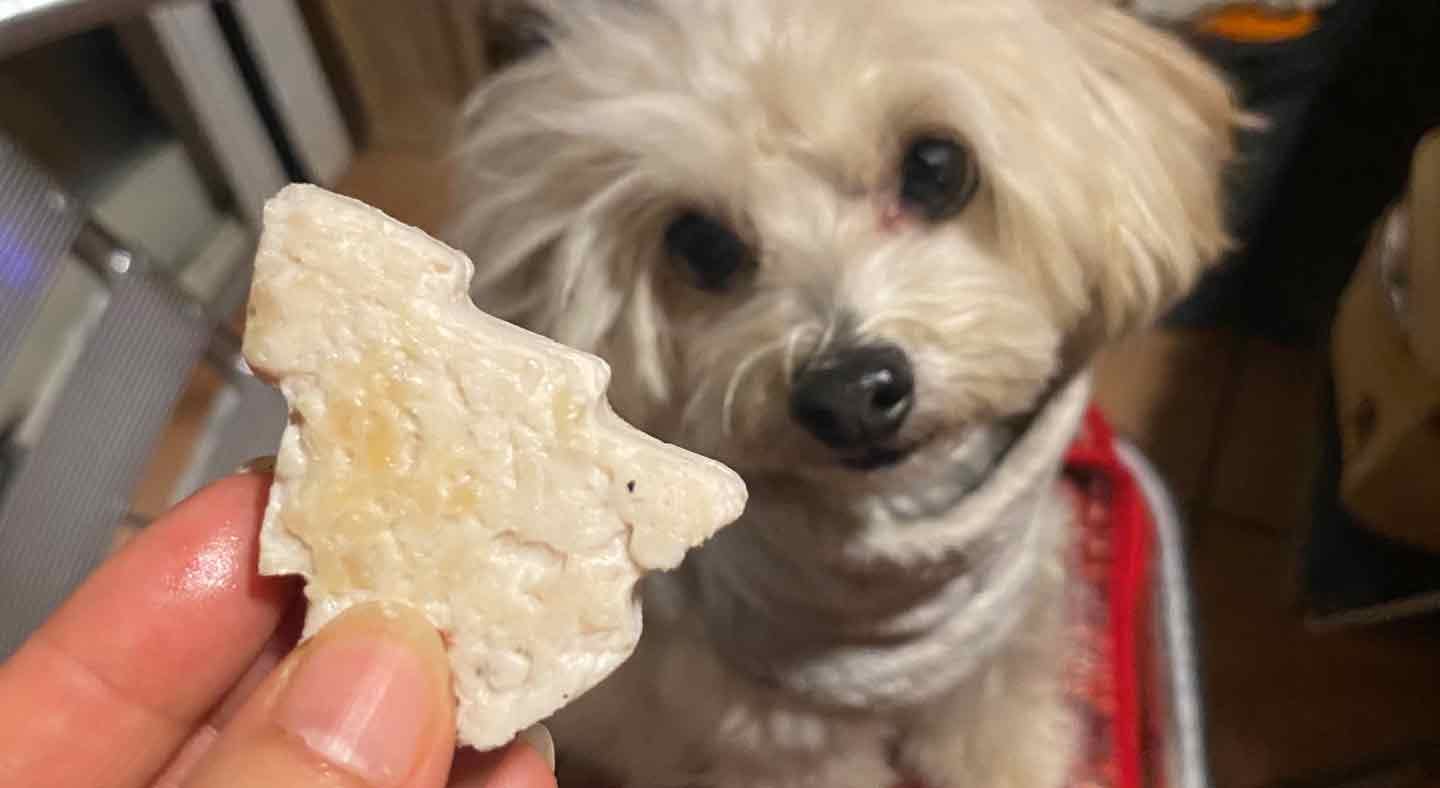 愛犬とクリスマスキャンプ　鶏ひき肉ハンバーグ