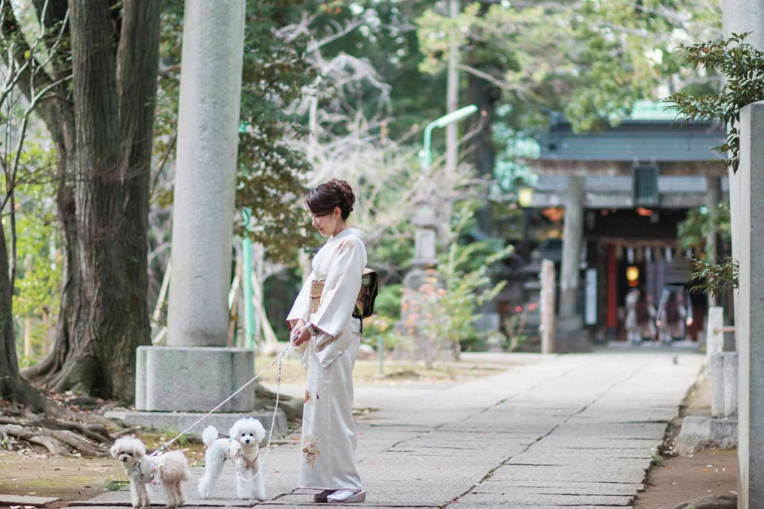 赤坂 都内で愛犬と初詣 わんちゃんokな赤坂氷川神社と周辺ランチ わんクォール