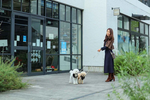横浜 愛犬と赤レンガエリアでお散歩 ランチを楽しもう わんクォール