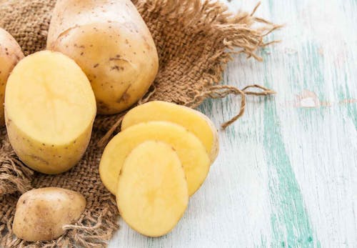 犬はじゃがいもを食べても大丈夫 与える際の注意点 皮や芽をどうするか おすすめの調理法などを解説 獣医師監修 わんクォール