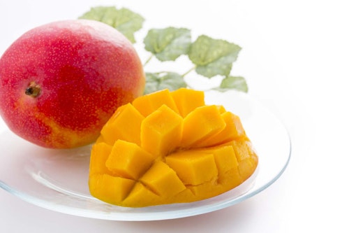 犬はマンゴーを食べても大丈夫 種や皮などの注意点や1日の適量 おすすめの与え方などを解説 獣医師監修 わんクォール 犬はマンゴーを食べても大丈夫 種や皮などの注意点や1日の適量 おすすめの与え方などを解説 獣医師監修 わんクォール