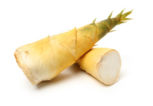 獣医師監修 犬にたけのこを食べさせても大丈夫 消化不良のリスクや与える際の注意点について解説 わんクォール 獣医師監修 犬にたけのこを食べさせても大丈夫 消化不良のリスクや与える際の注意点について解説 わんクォール