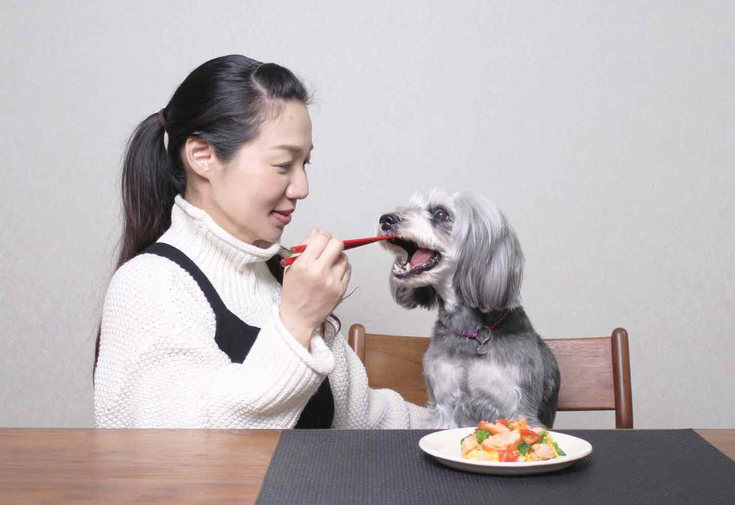 愛犬用　鮭と菜の花のちらし寿司レシピ　ひな祭り