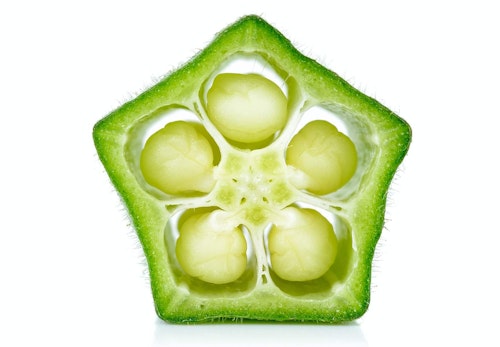 犬はオクラを食べても大丈夫 健康面のメリットや1日の適量 与える際の注意点を解説 獣医師監修 わんクォール 犬はオクラを食べても大丈夫 健康面のメリットや1日の適量 与える際の注意点を解説 獣医師監修 わんクォール