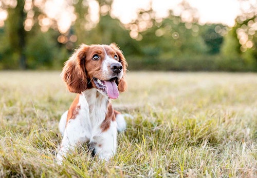 Pcoth4h7pswagm Pcoth4h7pswagm