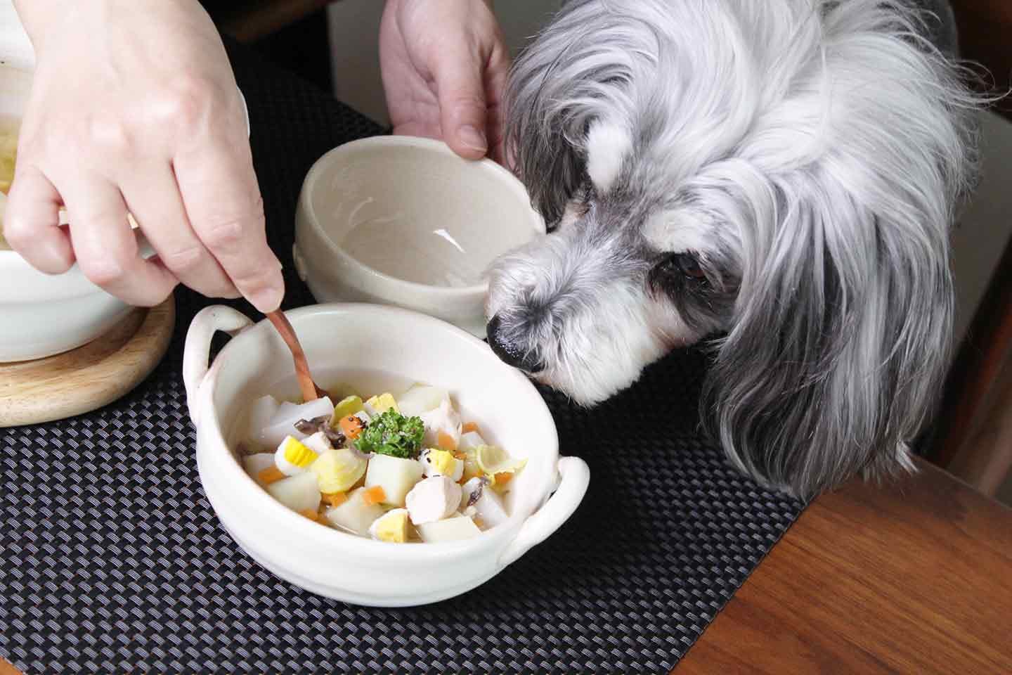 作業時間15分 材料を煮込むだけ 愛犬のおなかに優しい春野菜の具だくさんチキンポトフの作り方 Food ごはん わんクォール