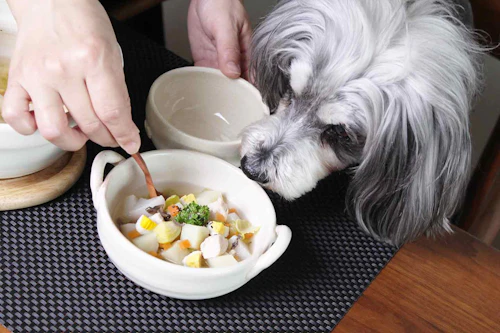 作業時間15分 材料を煮込むだけ 愛犬のおなかに優しい春野菜の具だくさんチキンポトフの作り方 わんクォール 作業時間15分 材料を煮込むだけ 愛犬のおなかに優しい春野菜の具だくさんチキンポトフの作り方 わんクォール