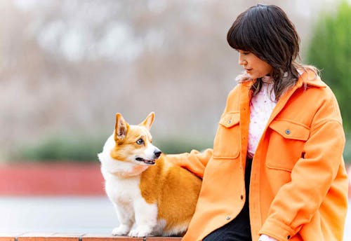 タレントimalu コロナ禍が転機に 家族以上の存在 である愛犬への深い愛を語る わんクォール タレントimalu コロナ禍が転機に 家族以上の存在 である愛犬への深い愛を語る わんクォール
