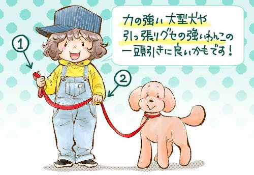 お悩み解消 お散歩上手のコツはリードにあり 人気犬マンガ家が安全な持ち方やオススメのリードさばきを解説 わんクォール