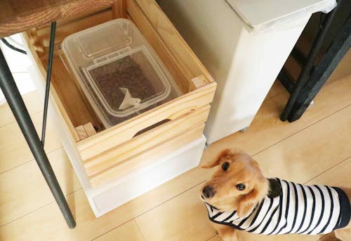 プロ直伝の収納テク 100均で叶う 愛犬のフードやおやつをおしゃれでスマートに保存する方法 わんクォール