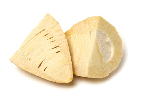 獣医師監修 犬にたけのこを食べさせても大丈夫 消化不良のリスクや与える際の注意点について解説 わんクォール 獣医師監修 犬にたけのこを食べさせても大丈夫 消化不良のリスクや与える際の注意点について解説 わんクォール