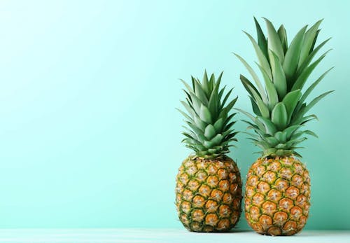 犬にパイナップルを食べさせても大丈夫 与える際の注意点や健康面のメリット おすすめの与え方を解説 獣医師監修 わんクォール